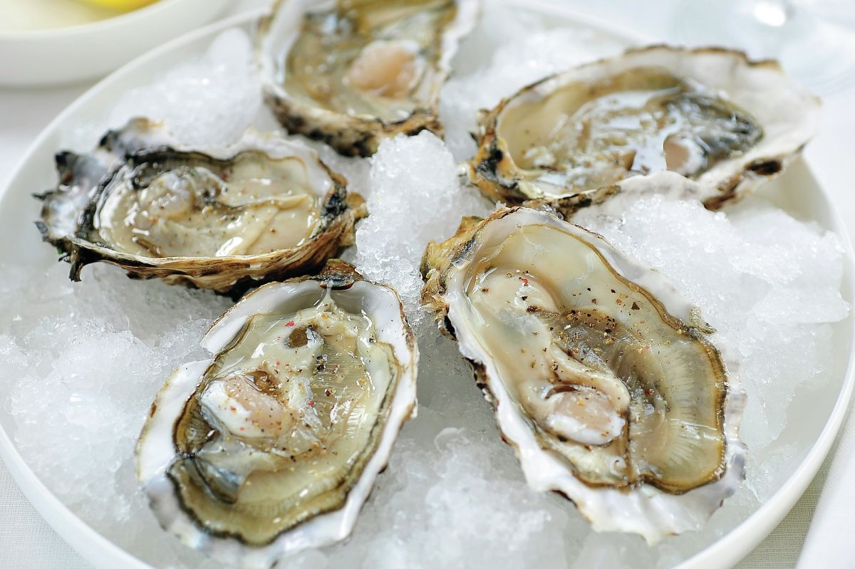 Ingredi Nt In De Kijker Oesters