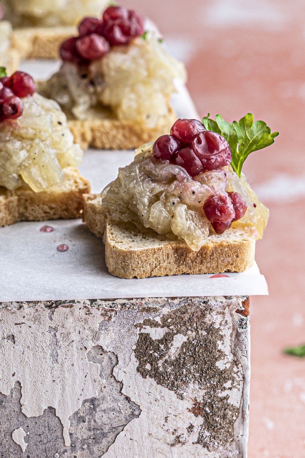 Toastje met uienpuree en cranberries