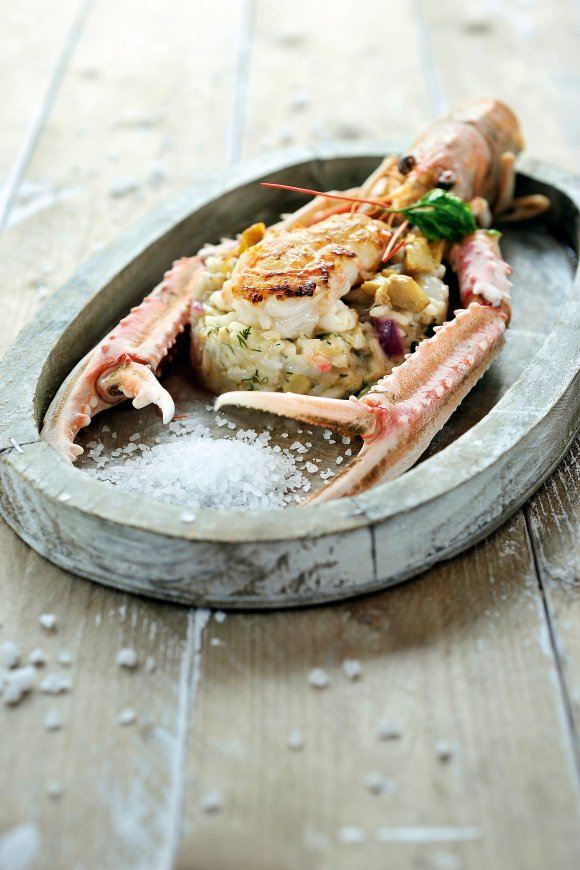 Risotto met artisjok en langoustine