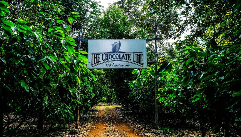 Op bezoek bij The Chocolate Line Plantation in Mexico