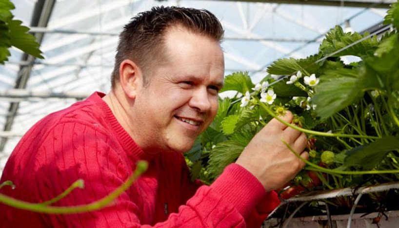 Aardbeien - Het rode goud van Roger van Damme