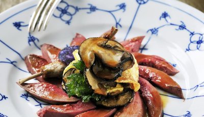 Bosduif met eekhoorntjesbrood