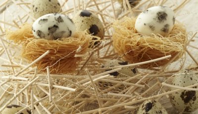 Gevlekte kwarteleitjes in kataifi-nestje