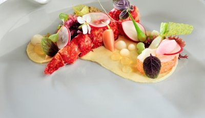 Noorse kreeft met gemarineerde radijzen, algen en algencrunch